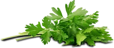 parsley